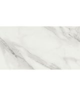MSI XL Trecento - Calacatta Venosa Gold 12mil 18 in x 36 in