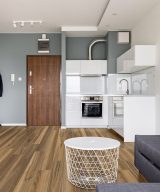 MSI Glenridge - Tawny Birch 12mil 6 in x 48 in
