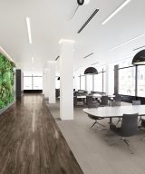 Armstrong Flooring Parallel USA 12 - Endearing Plank 12mil 6 in x 48 in