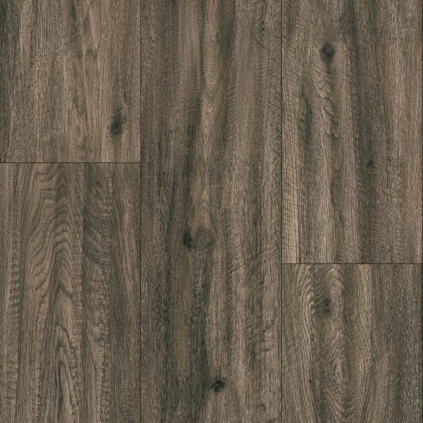 Armstrong Flooring Biome - Argyll Plank 20mil 6 in x 48 in