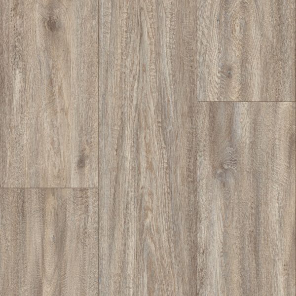 Armstrong Flooring Biome - Loch Ness Plank 20mil 6 in x 48 in