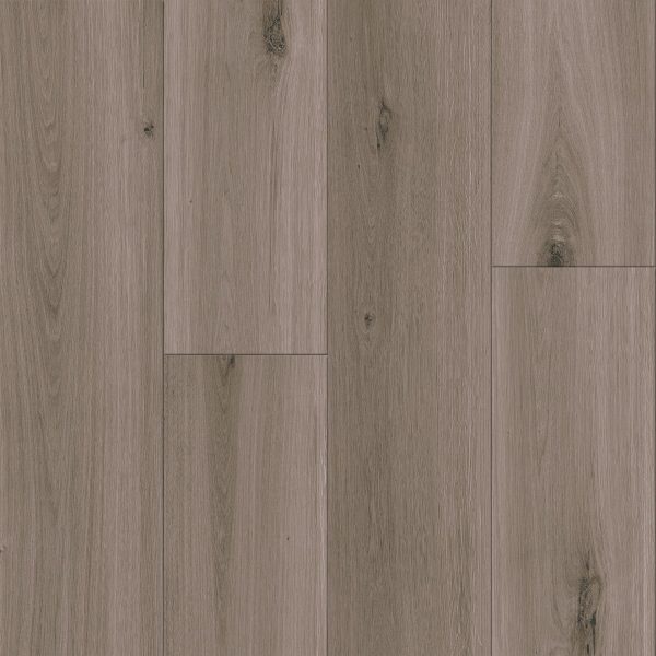 Armstrong Flooring Biome - Natterhorn Plank 20mil 6 in x 48 in