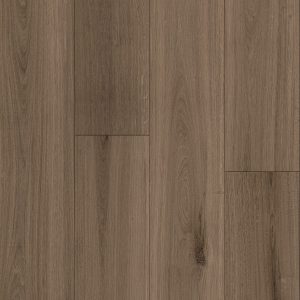 Armstrong Flooring Biome - Uluru Plank 20mil 6 in x 48 in