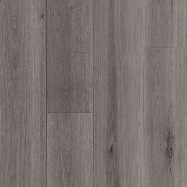 Armstrong Flooring Biome - Rainier Plank 20mil 6 in x 48 in