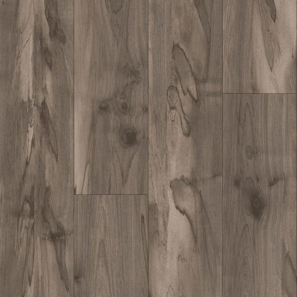 Armstrong Flooring Biome - Delta Plank 20mil 6 in x 48 in