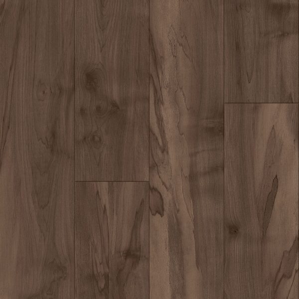 Armstrong Flooring Biome - Ferralite Plank 20mil 6 in x 48 in