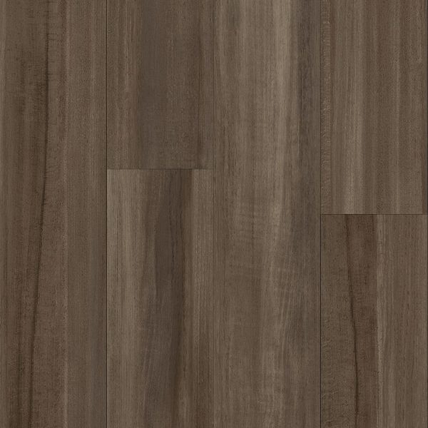 Armstrong Flooring Biome - Arabica Plank 20mil 6 in x 48 in