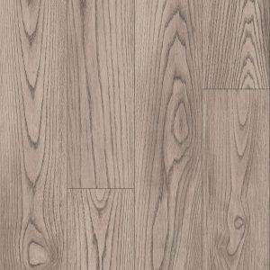 Armstrong Flooring Biome - Lynx Plank 20mil 6 in x 48 in