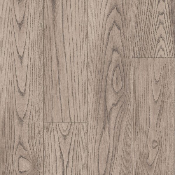 Armstrong Flooring Biome - Lynx Plank 20mil 6 in x 48 in