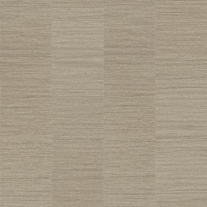 Armstrong Flooring Theorem - Salt of Saturn Plank 20mil 6 in x 36 in