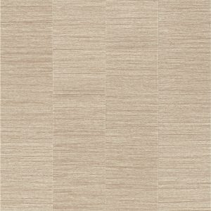 Armstrong Flooring Theorem - Dolomite Plank 20mil 6 in x 36 in