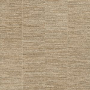 Armstrong Flooring Theorem - Salmiac Plank 20mil 6 in x 36 in