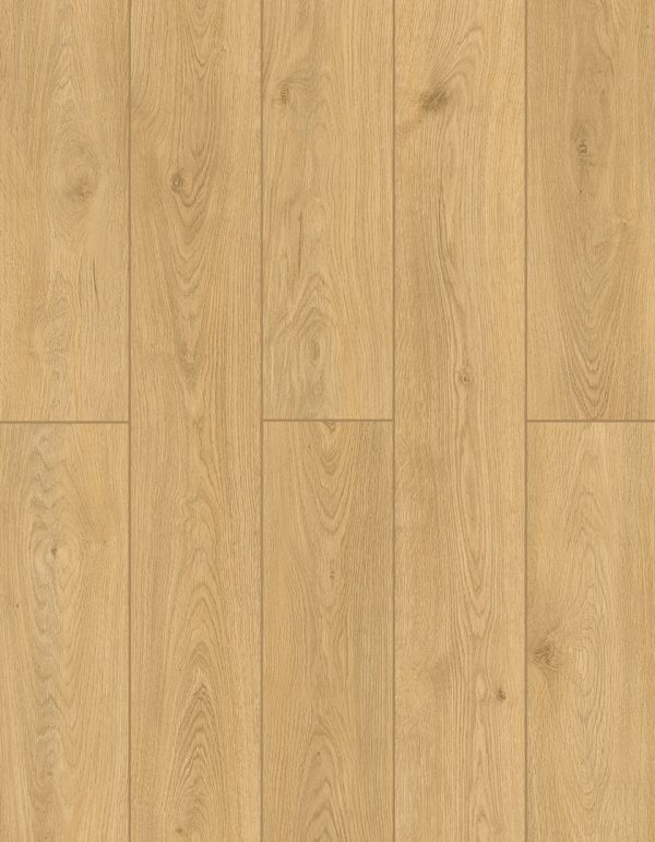 Lions Floor BAMBINO - Timber Glaze 12 MIL 7 in x 48 in