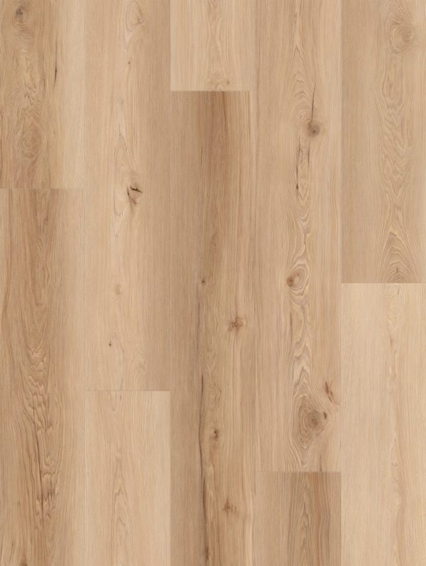 Lions Floor COMFORT HEIGHTS - Camden Ridge AC4 9 1/4 in x 60 in