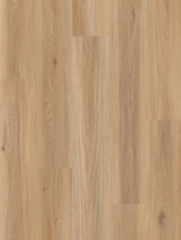 Lions Floor COMFORT HEIGHTS - Huntington Gardens AC4 9 1/4 in x 60 in