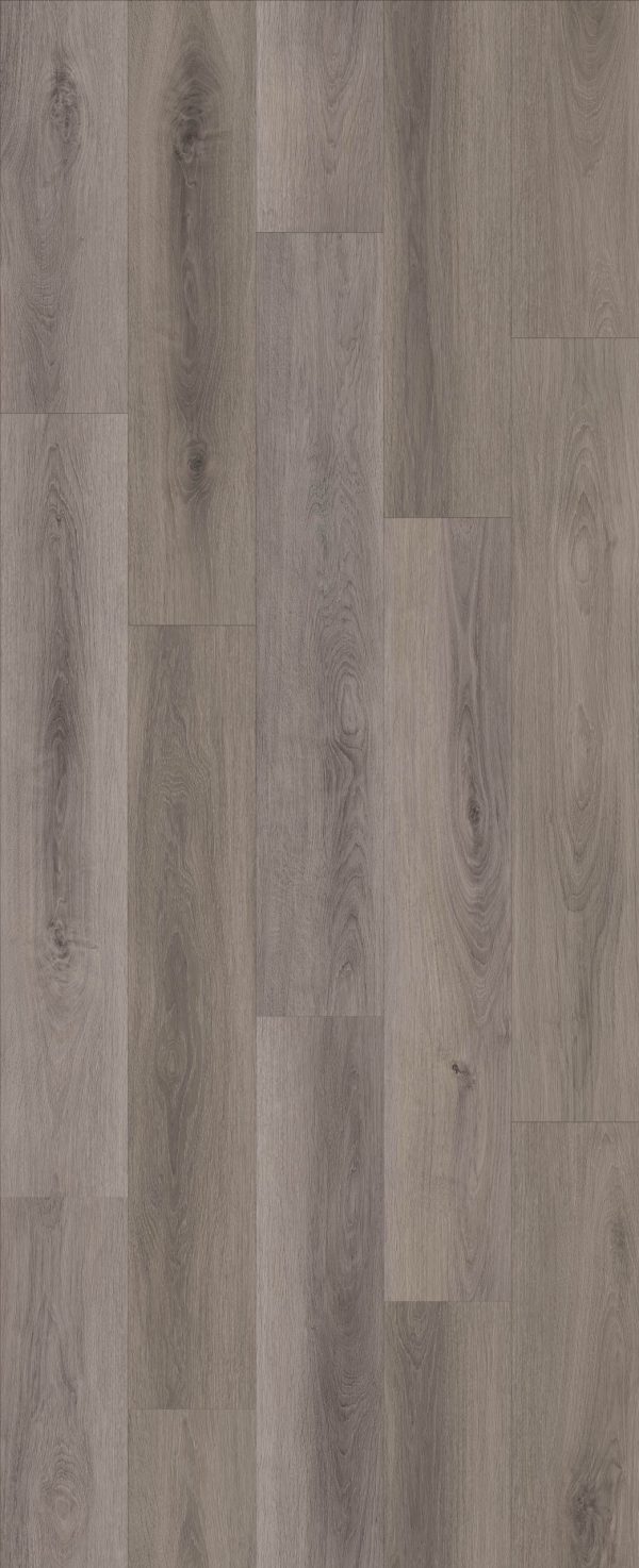 Lions Floor COMFORT HEIGHTS - Sunset Terrace AC4 9 1/4 in x 60 in