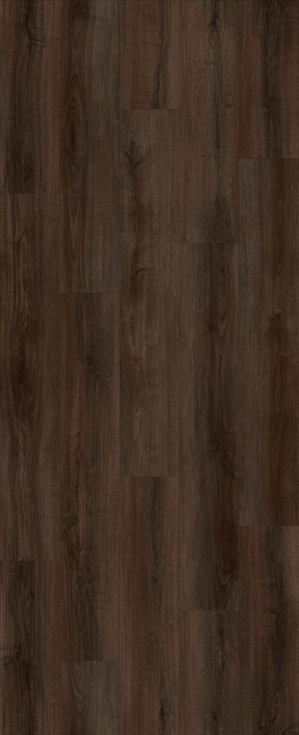 Lions Floor COMFORT HEIGHTS - River Walk AC4 9 1/4 in x 60 in