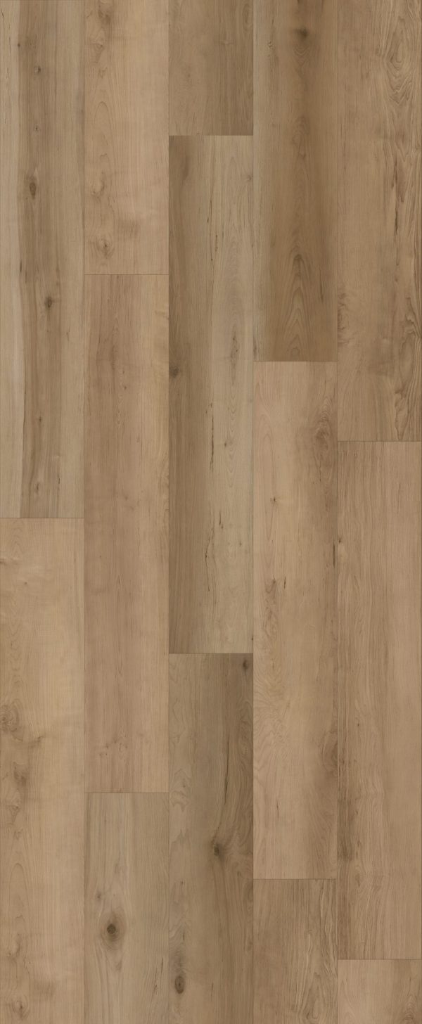 Lions Floor COMFORT HEIGHTS - Maple Gardens AC4 9 1/4 in x 60 in