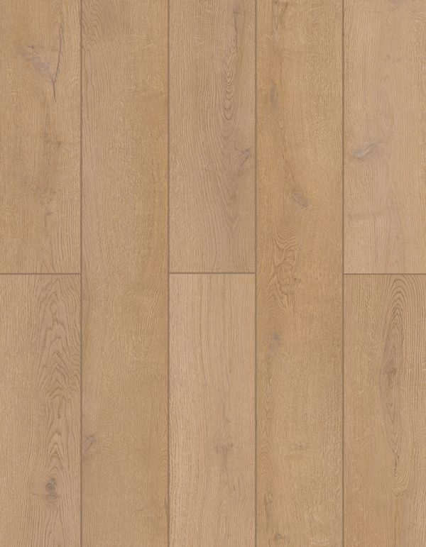 Lions Floor INDOOR DELIGHT - Farmstead 20 MIL 9 in x 72 in