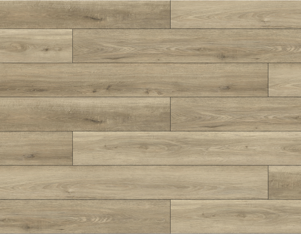 Lions Floor BAMBINO - Dolce 12 MIL 7 in x 48 in