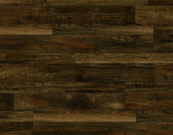 Lions Floor BAMBINO - Chambery 12 MIL 7 in x 48 in