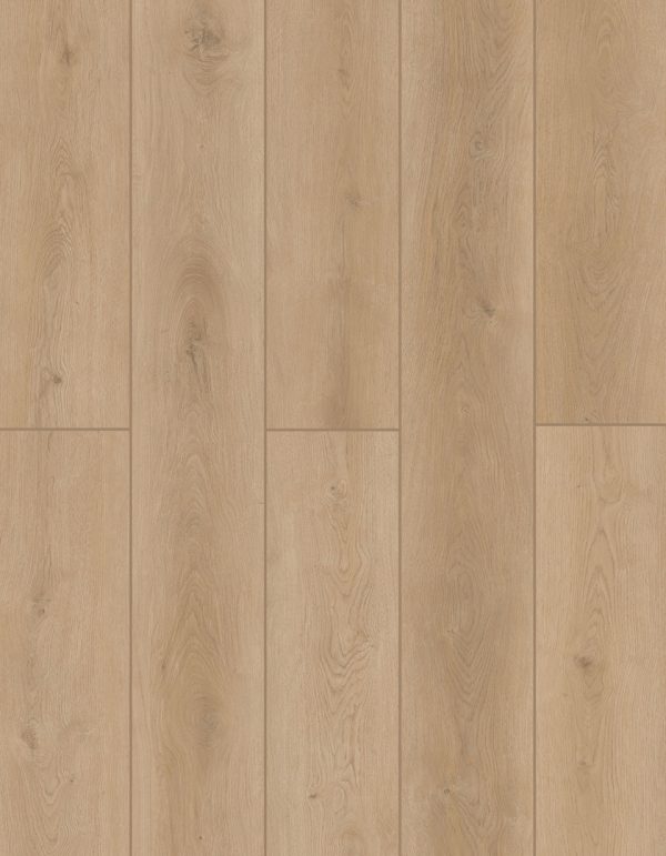 Lions Floor INDOOR DELIGHT - Forest Timber 20 MIL 9 in x 72 in