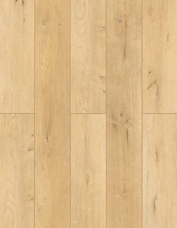 Lions Floor LONE STAR SPIRIT - More Mesa 20 MIL 7 in x 72 in