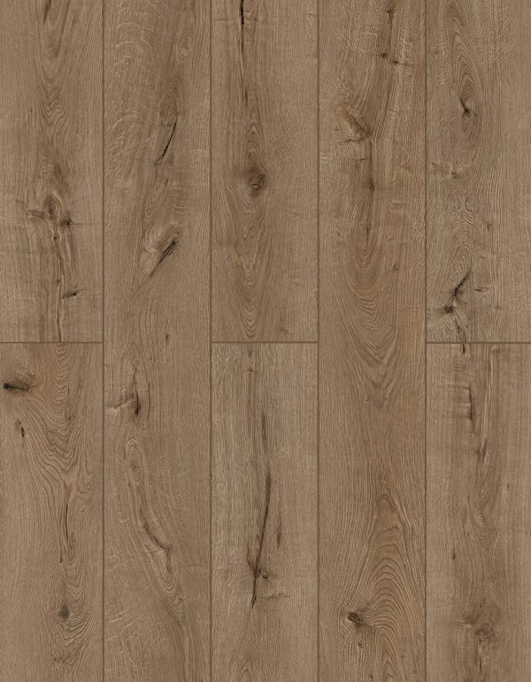 Lions Floor LONE STAR SPIRIT XL - Forgotten Bark 20 MIL 9 in x 72 in