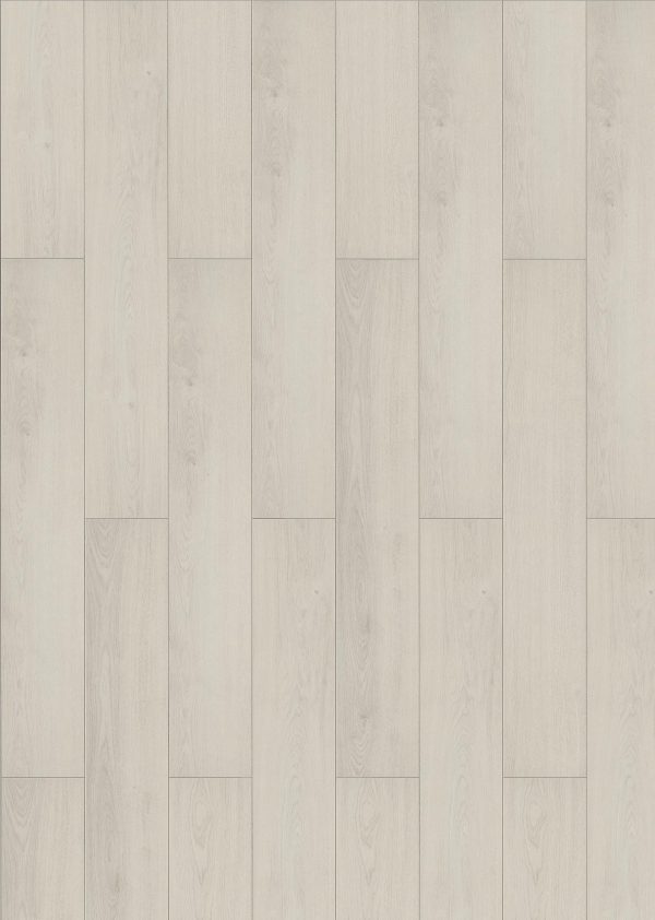 InHaus LAMDURA Visions - Darwin 7.64 in  x 50.63 in