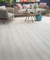 InHaus LAMDURA Visions - Darwin 7.64 in  x 50.63 in