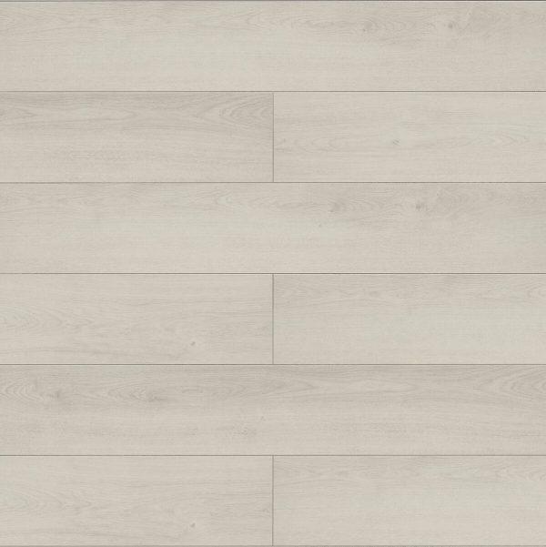 InHaus LAMDURA Visions - Darwin 7.64 in  x 50.63 in