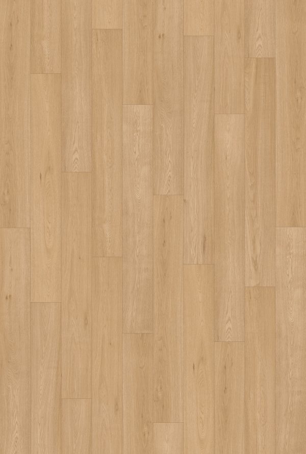 InHaus Ceramin Icon - Lansdowne 8.0 in  x 59.8 in