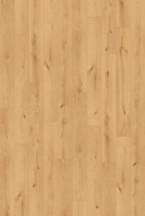 InHaus Ceramin Icon - Hollyburn 8.0 in  x 59.8 in
