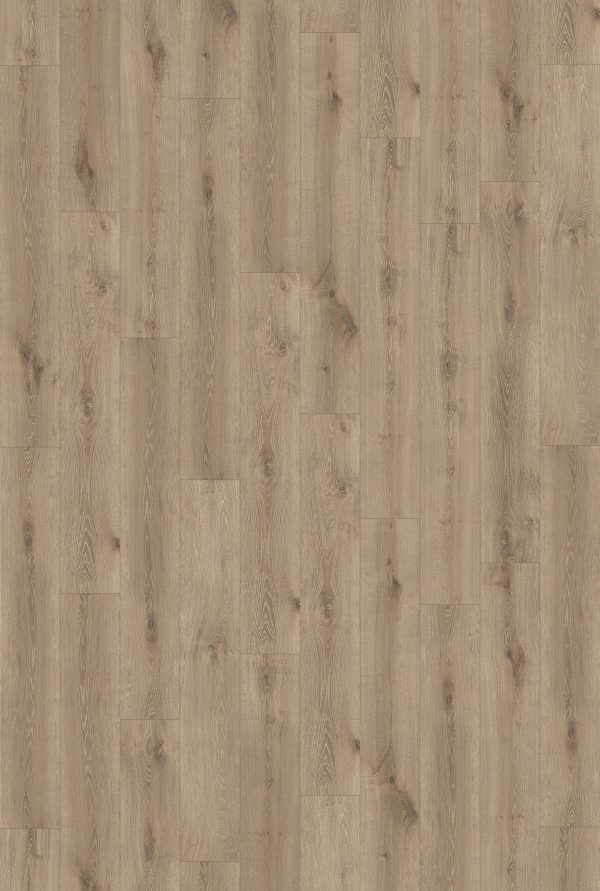 InHaus Ceramin Gallery - Ledgestone 8.0 in  x 50.8 in