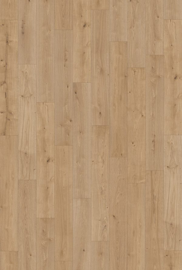 InHaus Ceramin Gallery - Glenbrook 8.0 in  x 50.8 in