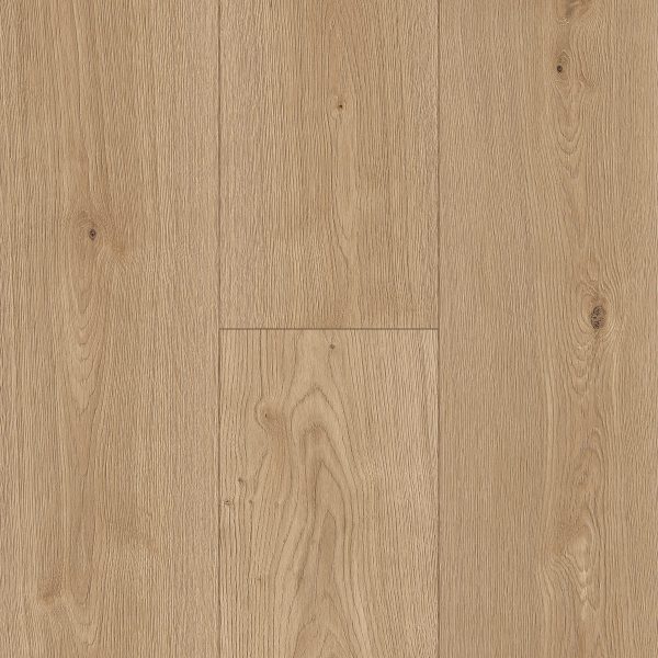 InHaus Ceramin Gallery - Glenbrook 8.0 in  x 50.8 in