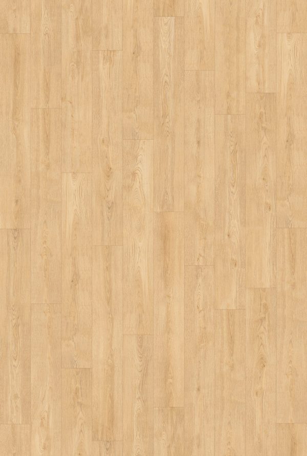 InHaus Ceramin Gallery - Norgate 8.0 in  x 50.8 in