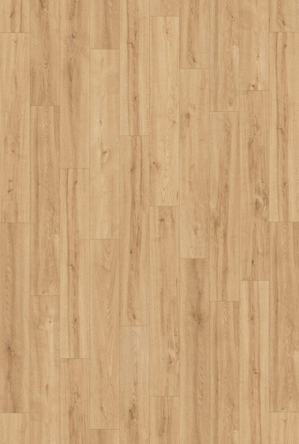 InHaus Ceramin Gallery - Northlands 8.0 in  x 50.8 in