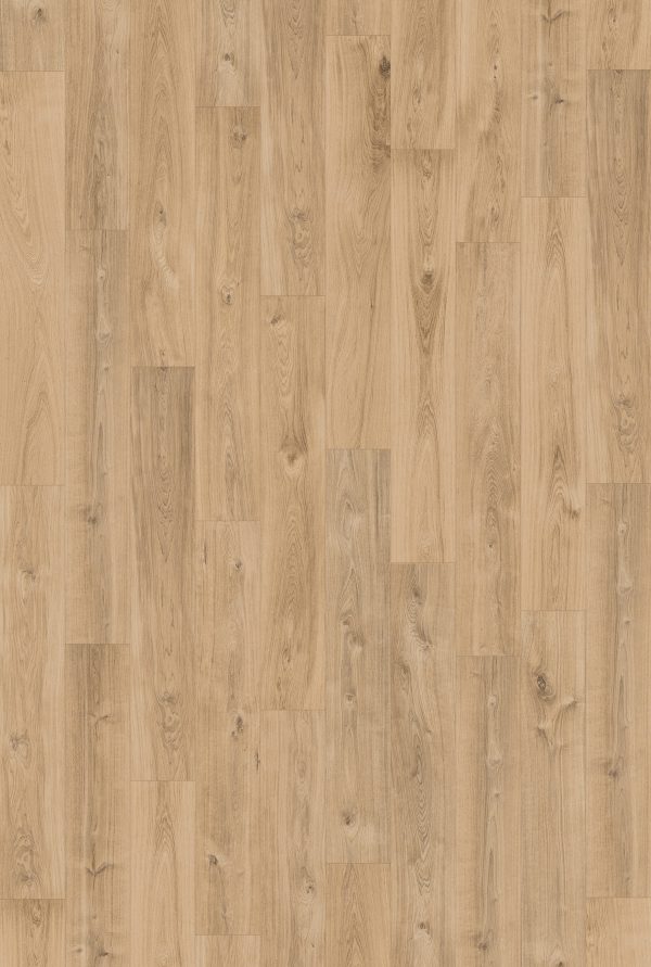 InHaus Ceramin Gallery - Fraserview 8.0 in  x 50.8 in