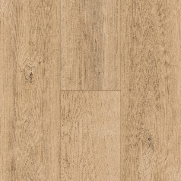 InHaus Ceramin Gallery - Fraserview 8.0 in  x 50.8 in