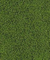 MSI Evergrass® Turf - Emerald Green Turf 110 3/8 in x 45 mm