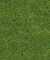 MSI Evergrass® Turf - Emerald Green Turf 76 3/8 in x 40 mm