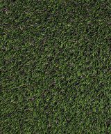 MSI Evergrass® Turf - Meadow Green Pet-turf 91 3/8 in x 30 mm