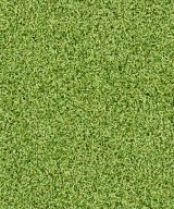 MSI Evergrass® Turf - Putting Green Turf 78  x 16 mm