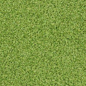 MSI Evergrass® Turf - Putting Green Turf 78  x 16 mm