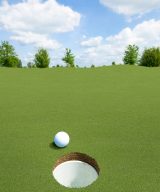 MSI Evergrass® Turf - Putting Green Turf 78  x 16 mm