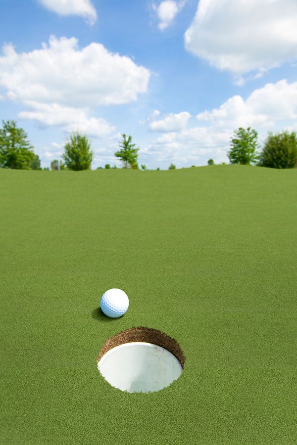MSI Evergrass® Turf - Putting Green Turf 78  x 16 mm