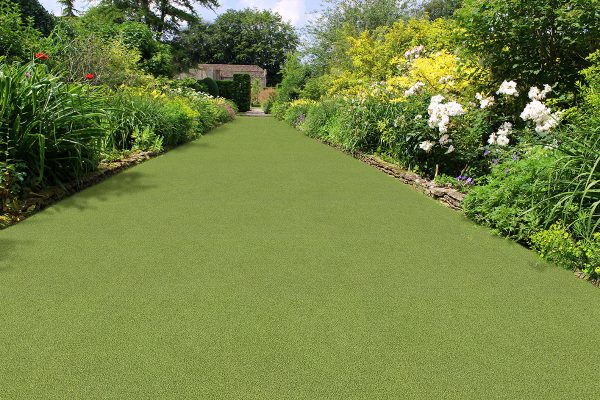 MSI Evergrass® Turf - Putting Green Turf 78  x 16 mm