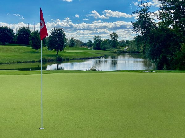 MSI Evergrass® Turf - Putting Green Turf 78  x 16 mm