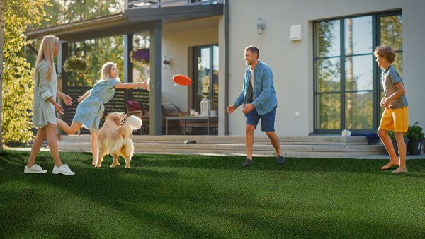 MSI Evergrass® Turf - Meadow Green Pet-turf 91 3/8 in x 30 mm